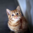 สมาชิกหมายเลข 2606556