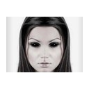 นางแมวป่า