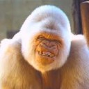 สมาชิกหมายเลข 2062629