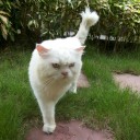 สมาชิกหมายเลข 2062699