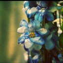 สมาชิกหมายเลข 1221626