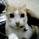 สมาชิกหมายเลข 2081171