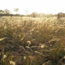 สมาชิกหมายเลข 3269156