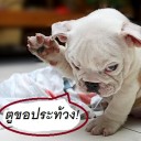 อดาห์ คัซ