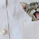 สมาชิกหมายเลข 1637562