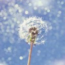 สมาชิกหมายเลข 3287222