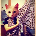 สมาชิกหมายเลข 1218153