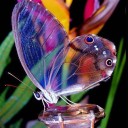 สมาชิกหมายเลข 1667498