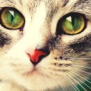 สมาชิกหมายเลข 1963094