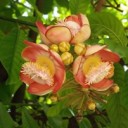 สรุปว่า