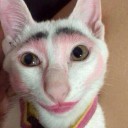 สมาชิกหมายเลข 1638558