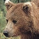 สมาชิกหมายเลข 2064428