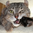 สมาชิกหมายเลข 2058467