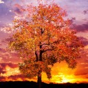 สมาชิกหมายเลข 1073249