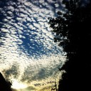 สมาชิกหมายเลข 1218830