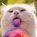 สมาชิกหมายเลข 1638991