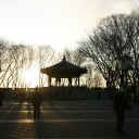 สมาชิกหมายเลข 1639105