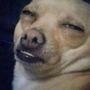 สมาชิกหมายเลข 2852688