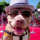 สมาชิกหมายเลข 3288832