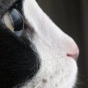 อาทิตย์อับแสง