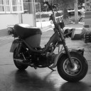 สมาชิกหมายเลข 1831759