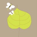 พฤกษาระบัดใบ