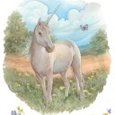 สมาชิกหมายเลข 882347