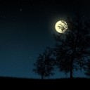 เงามืดในแสงจันทร์