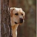 นายไม่รับ