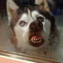 สมาชิกหมายเลข 3289986