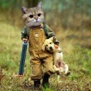 ลูกแมวย้วย