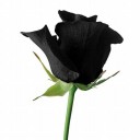 สมาชิกหมายเลข 2854252