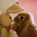 สมาชิกหมายเลข 1220380