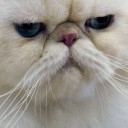 สมาชิกหมายเลข 817543