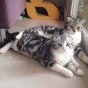 สมาชิกหมายเลข 1865479