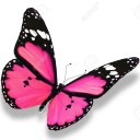 สมาชิกหมายเลข 1275982