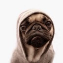 สมาชิกหมายเลข 3272971