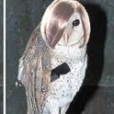 สมาชิกหมายเลข 823171