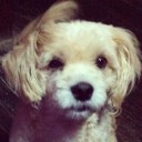 สมาชิกหมายเลข 869159