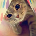 สมาชิกหมายเลข 2066539