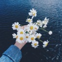 สมาชิกหมายเลข 2746161