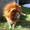 สมาชิกหมายเลข 823465