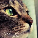 สมาชิกหมายเลข 823765