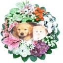 สมาชิกหมายเลข 1623939