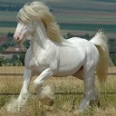 อัศววาโย