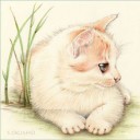 สมาชิกหมายเลข 2066999