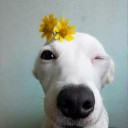 สวยจนล้น