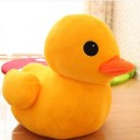 สมาชิกหมายเลข 1918836