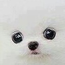 เตี๋ยวต้มยำ