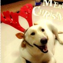 สมาชิกหมายเลข 755160